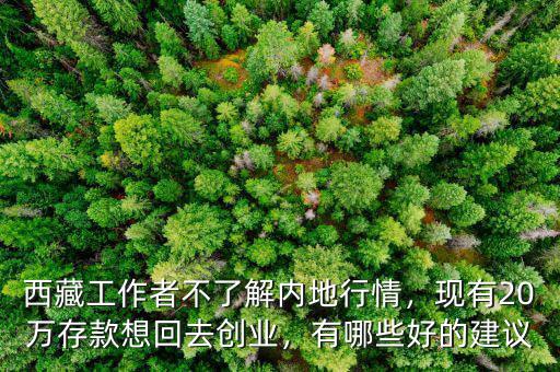 西藏工作者不了解內(nèi)地行情，現(xiàn)有20萬存款想回去創(chuàng)業(yè)，有哪些好的建議
