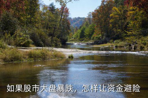 如果股市大盤暴跌，怎樣讓資金避險