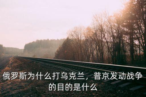 俄羅斯為什么打?yàn)蹩颂m，普京發(fā)動戰(zhàn)爭的目的是什么