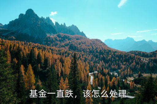 基金一直跌，該怎么處理