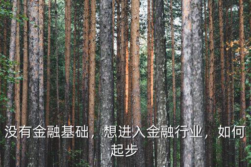 沒有金融基礎(chǔ)，想進(jìn)入金融行業(yè)，如何起步