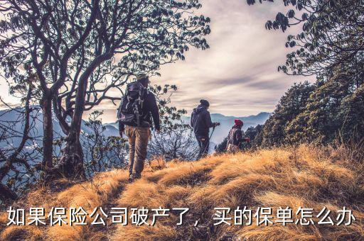 如果保險公司破產(chǎn)了，買的保單怎么辦