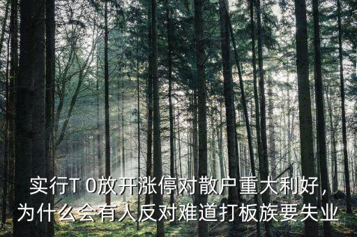 實行T 0放開漲停對散戶重大利好，為什么會有人反對難道打板族要失業(yè)