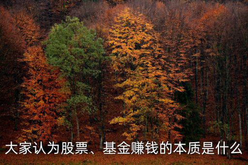 大家認為股票、基金賺錢的本質(zhì)是什么