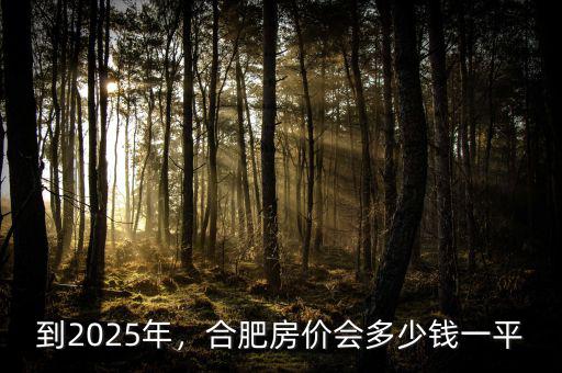 到2025年，合肥房價會多少錢一平