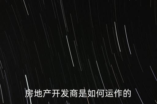 房地產(chǎn)開發(fā)商怎么盈利,房地產(chǎn)開發(fā)商是如何運作的