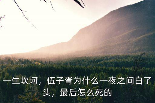 一生坎坷，伍子胥為什么一夜之間白了頭，最后怎么死的