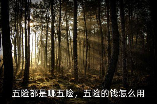 五險(xiǎn)都是哪五險(xiǎn)，五險(xiǎn)的錢怎么用