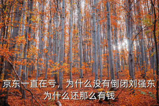 京東一直在虧，為什么沒(méi)有倒閉劉強(qiáng)東為什么還那么有錢(qián)