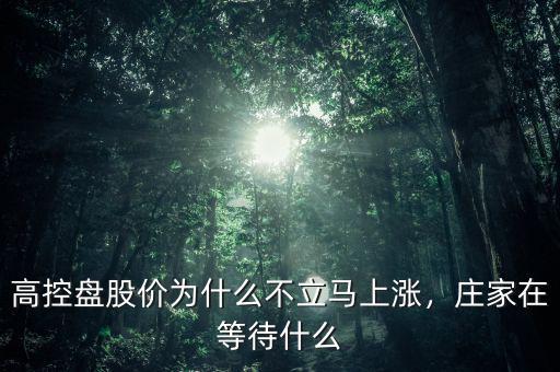 高控盤股價(jià)為什么不立馬上漲，莊家在等待什么