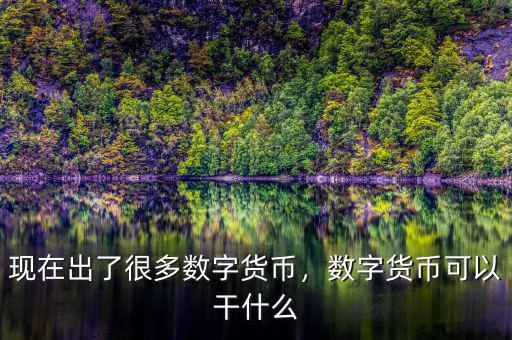 現(xiàn)在出了很多數(shù)字貨幣，數(shù)字貨幣可以干什么