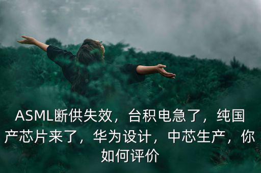 ASML斷供失效，臺積電急了，純國產(chǎn)芯片來了，華為設(shè)計，中芯生產(chǎn)，你如何評價