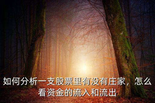 如何分析一支股票里有沒有莊家，怎么看資金的流入和流出