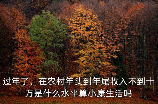 過(guò)年了，在農(nóng)村年頭到年尾收入不到十萬(wàn)是什么水平算小康生活嗎