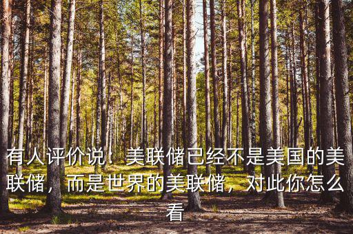 有人評價說：美聯(lián)儲已經(jīng)不是美國的美聯(lián)儲，而是世界的美聯(lián)儲，對此你怎么看