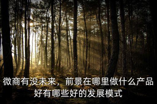 微商有沒未來，前景在哪里做什么產(chǎn)品好有哪些好的發(fā)展模式