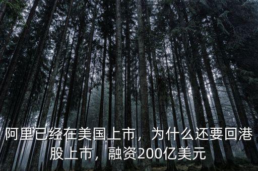 阿里已經(jīng)在美國(guó)上市，為什么還要回港股上市，融資200億美元