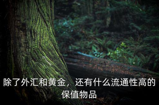 除了外匯和黃金，還有什么流通性高的保值物品