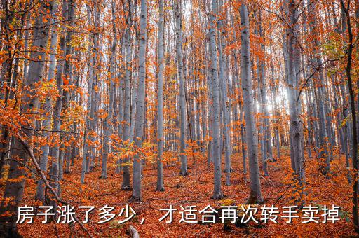 房子漲了多少，才適合再次轉(zhuǎn)手賣掉