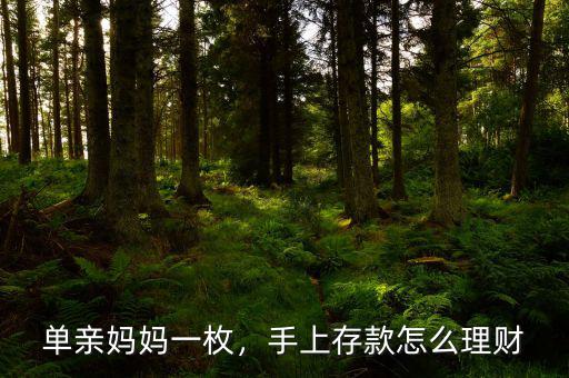 單親媽媽一枚，手上存款怎么理財(cái)
