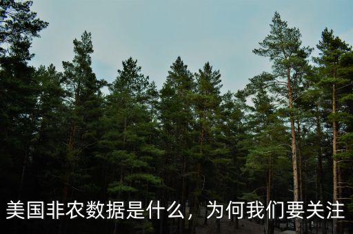 美國非農(nóng)數(shù)據(jù)是什么，為何我們要關注