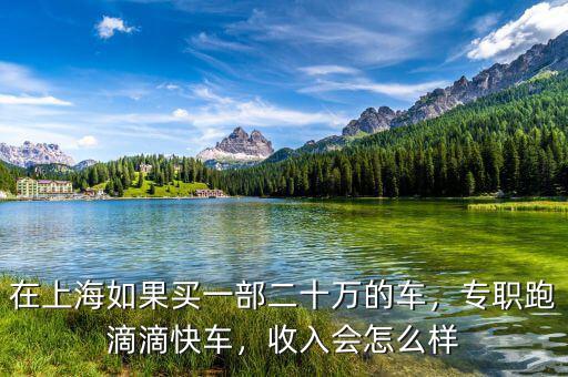 在上海如果買(mǎi)一部二十萬(wàn)的車(chē)，專(zhuān)職跑滴滴快車(chē)，收入會(huì)怎么樣