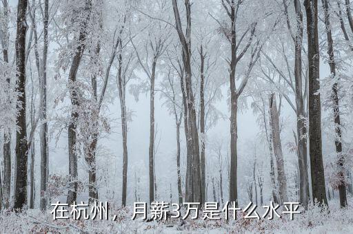 在杭州，月薪3萬是什么水平
