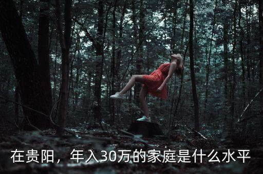 在貴陽，年入30萬的家庭是什么水平
