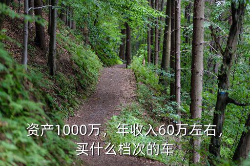 1000萬(wàn)資產(chǎn)開(kāi)什么車(chē),資產(chǎn)1000萬(wàn)