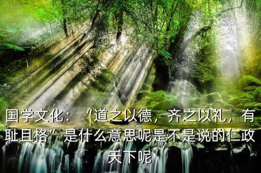 國學(xué)文化：“道之以德，齊之以禮，有恥且格”是什么意思呢是不是說的仁政天下呢