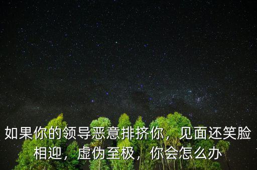 如果你的領(lǐng)導(dǎo)惡意排擠你，見面還笑臉相迎，虛偽至極，你會怎么辦