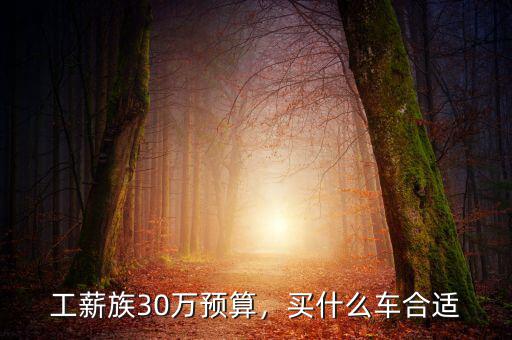 工薪族30萬預算，買什么車合適