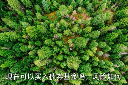 現(xiàn)在可以買入債券基金嗎，風險如何