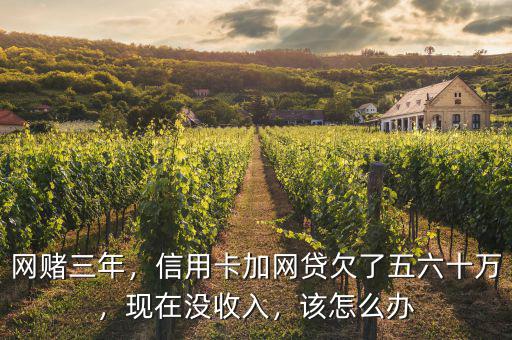網(wǎng)賭三年，信用卡加網(wǎng)貸欠了五六十萬，現(xiàn)在沒收入，該怎么辦