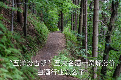 “五洋汾古郎”五大名酒一窩蜂漲價(jià)，白酒行業(yè)怎么了