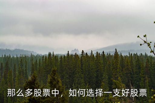 那么多股票中，如何選擇一支好股票