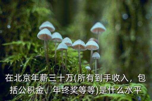 在北京年薪三十萬(wàn)(所有到手收入，包括公積金、年終獎(jiǎng)等等)是什么水平