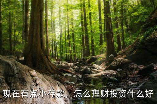現(xiàn)在有點小存款，怎么理財投資什么好
