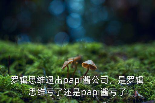 羅輯思維退出papi醬公司，是羅輯思維虧了還是papi醬虧了