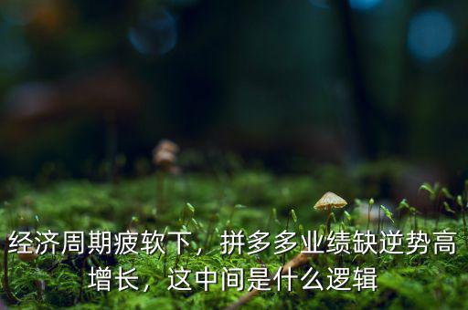 經(jīng)濟周期疲軟下，拼多多業(yè)績?nèi)蹦鎰莞咴鲩L，這中間是什么邏輯