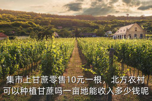 集市上甘蔗零售10元一根，北方農(nóng)村可以種植甘蔗嗎一畝地能收入多少錢呢