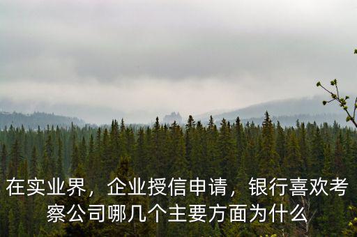 在實(shí)業(yè)界，企業(yè)授信申請(qǐng)，銀行喜歡考察公司哪幾個(gè)主要方面為什么