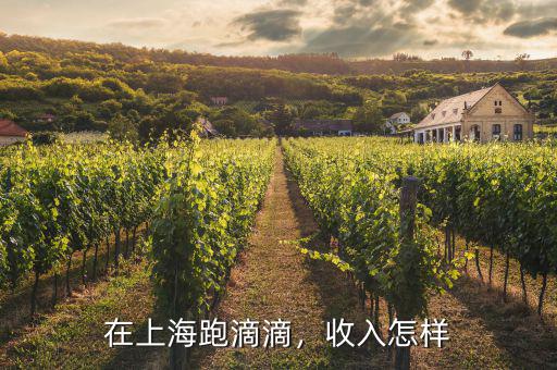 在上海跑滴滴，收入怎樣