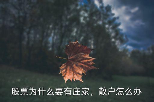 股票為什么要有莊家，散戶(hù)怎么辦