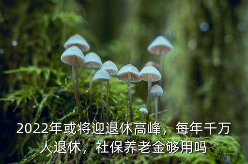 2022年或?qū)⒂诵莞叻?，每年千萬人退休，社保養(yǎng)老金夠用嗎