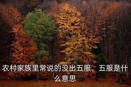 農(nóng)村家族里常說(shuō)的沒(méi)出五服，五服是什么意思