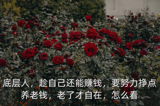 底層人，趁自己還能賺錢，要努力掙點(diǎn)養(yǎng)老錢，老了才自在，怎么看