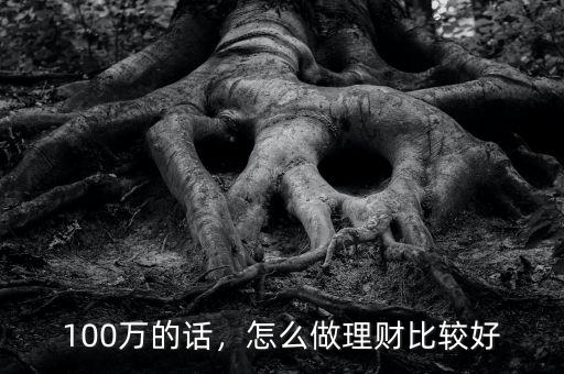 100萬的話，怎么做理財(cái)比較好