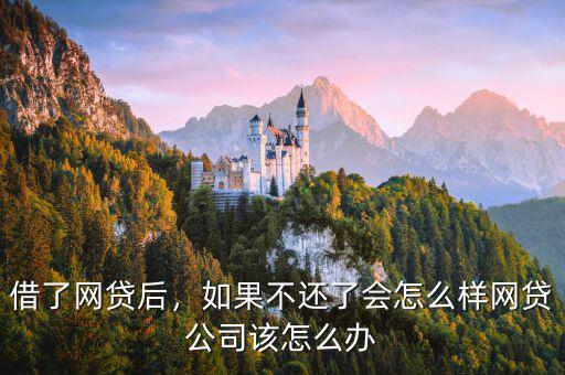 借了網(wǎng)貸后，如果不還了會(huì)怎么樣網(wǎng)貸公司該怎么辦