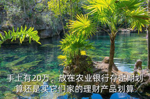 手上有20萬(wàn)，放在農(nóng)業(yè)銀行存定期劃算還是買(mǎi)它們家的理財(cái)產(chǎn)品劃算